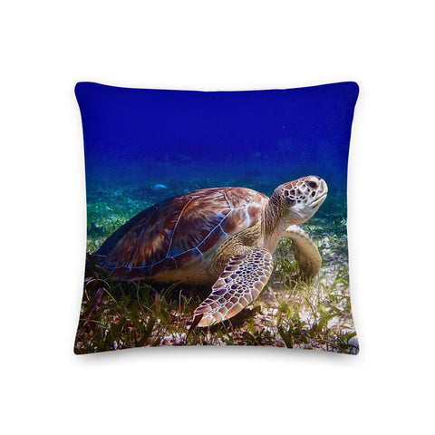 Premium Pillow- Turtle