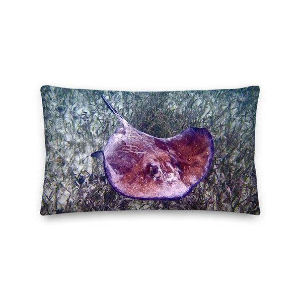 Premium Pillow- Ray