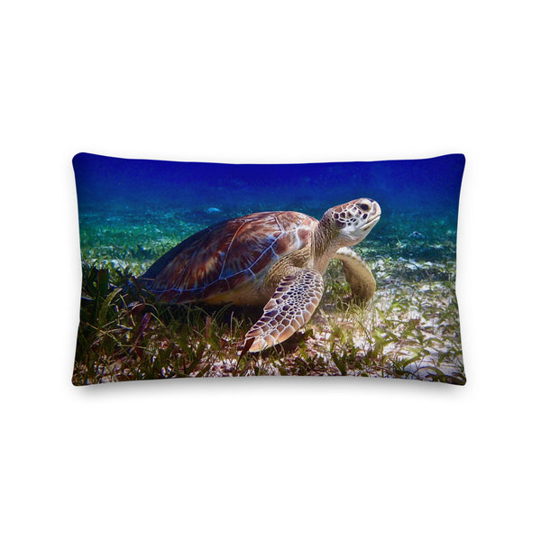 Premium Pillow- Turtle