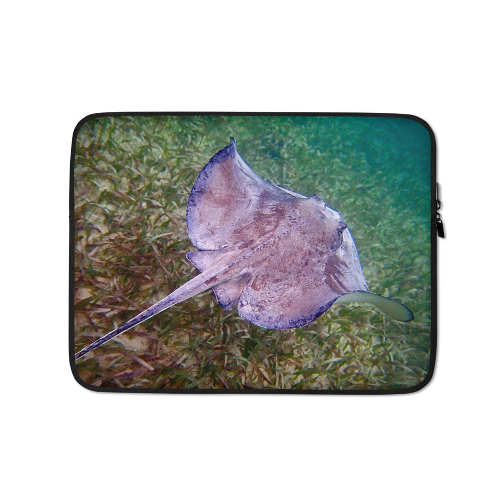 Laptop Sleeve- Ray 2