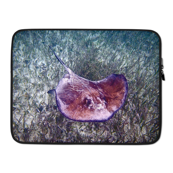 Laptop Sleeve- Ray