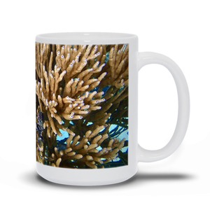 Mug- Soft Coral