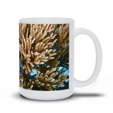 Mug- Soft Coral