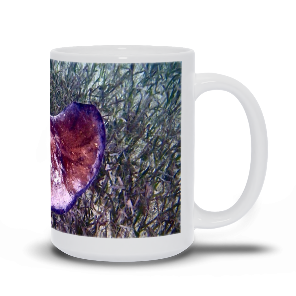 Mug- Ray